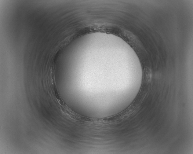 X0000082981060200702152352