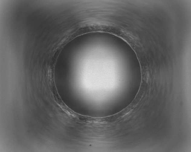 X0000082981061200702152352
