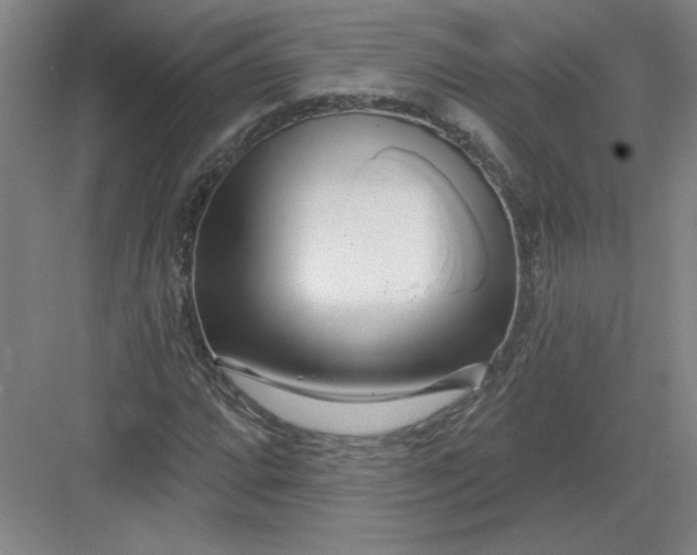 X0000082981064200702152352