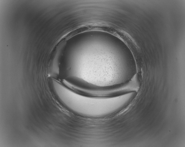 X0000082981065200702152352