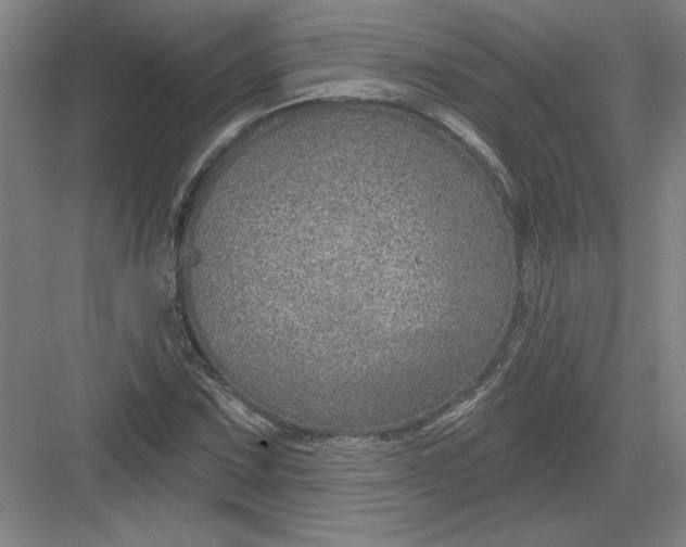 X0000082981067200702152351