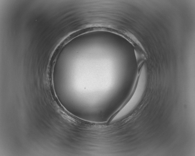X0000082981068200702152351