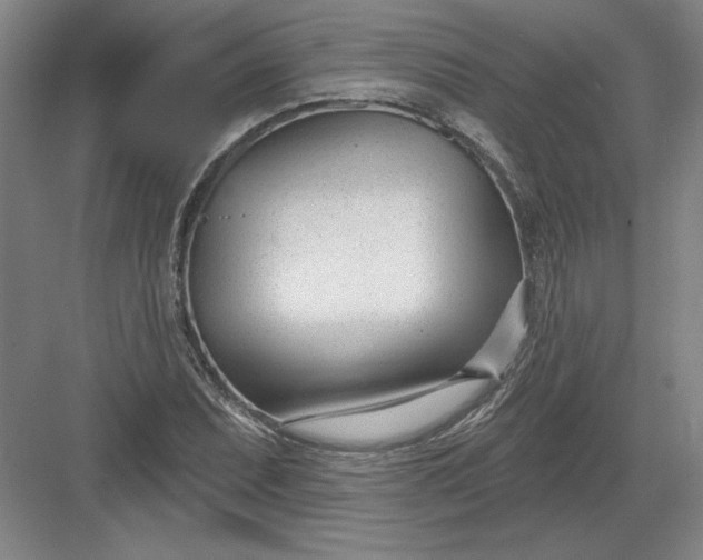 X0000082981071200702152351