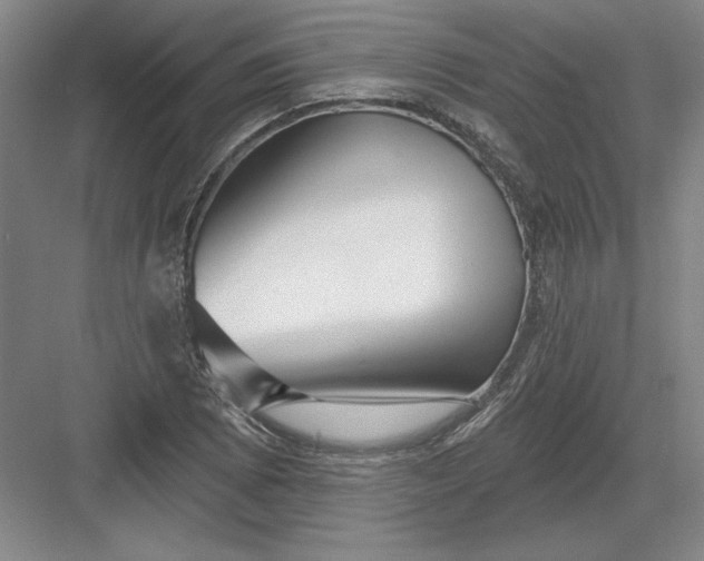 X0000082981073200702152351