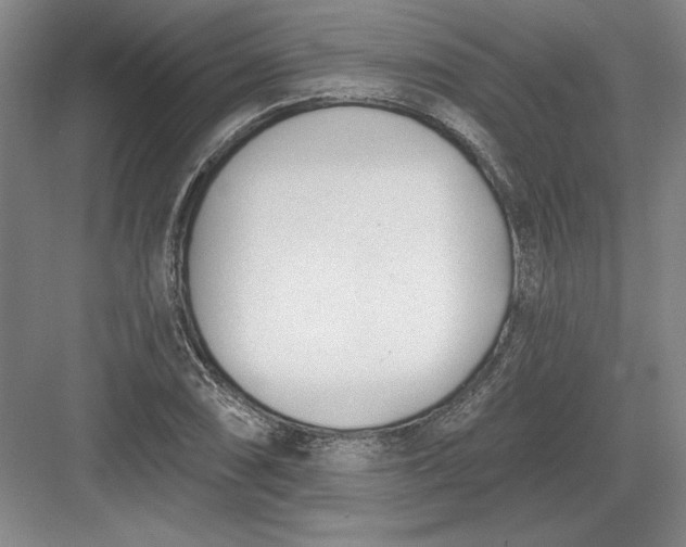 X0000082981074200702152351