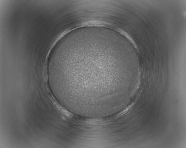 X0000082981075200702152351