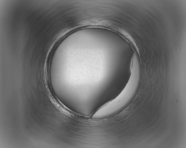X0000082981080200702152351