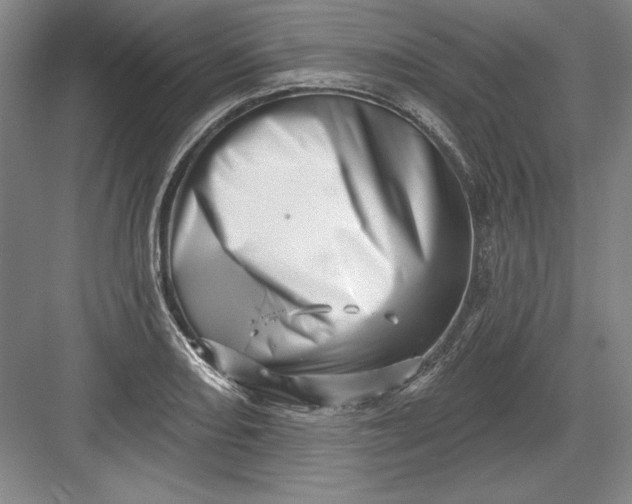 X0000082981082200702152351