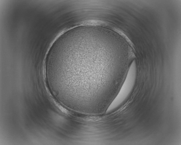 X0000082981083200702152351