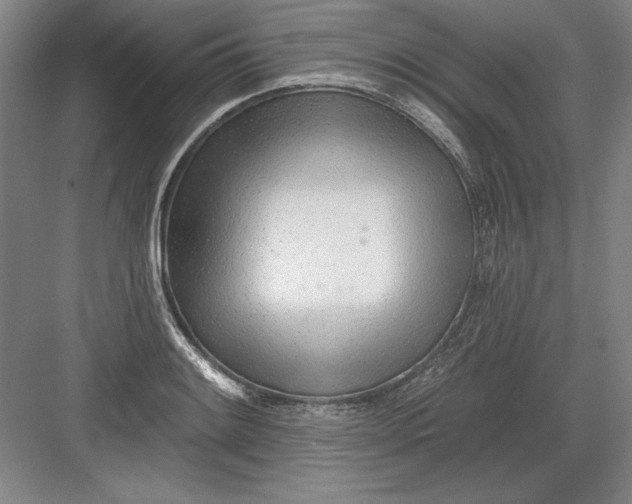 X0000082981084200702152351