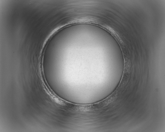 X0000082981086200702152351