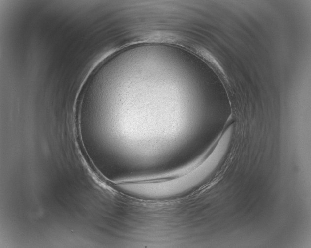 X0000082981087200702152351