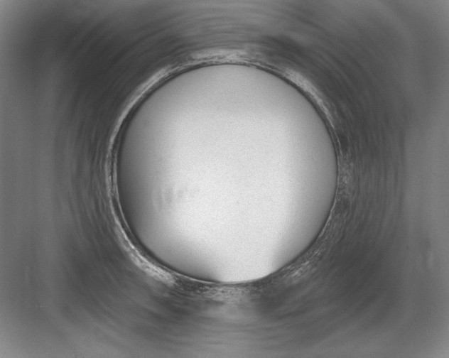 X0000082981090200702152351