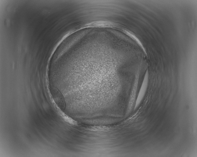 X0000082981091200702152351