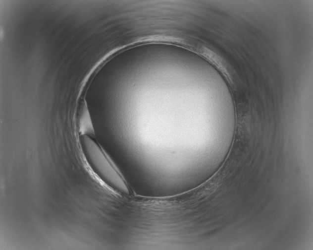 X0000082981092200702152351