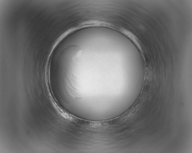 X0000082981098200702152351