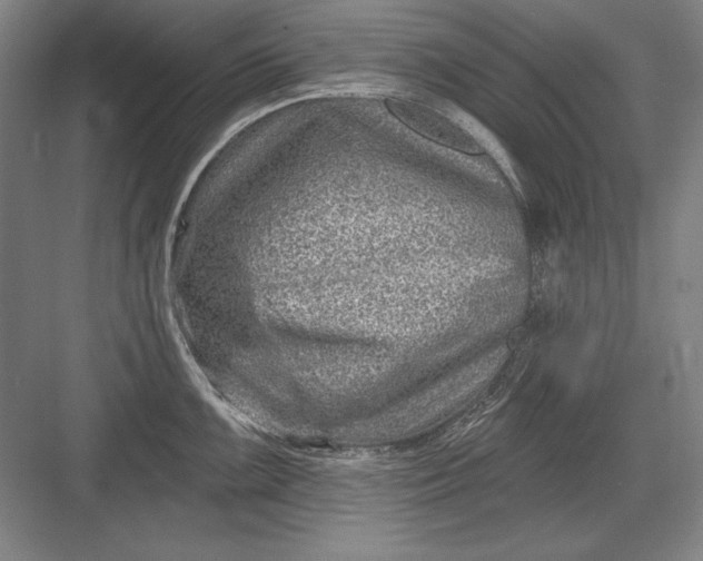 X0000082981099200702152351