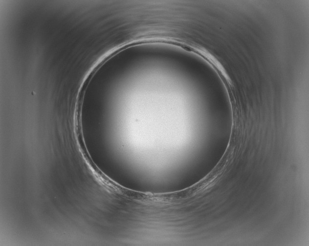X0000082981101200702152351