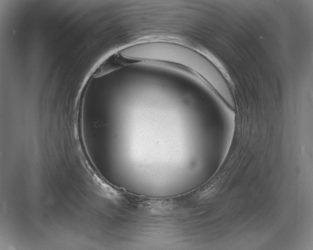 X0000082981102200702152351
