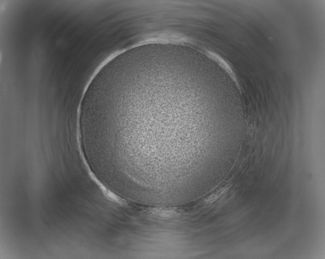 X0000082981103200702152351
