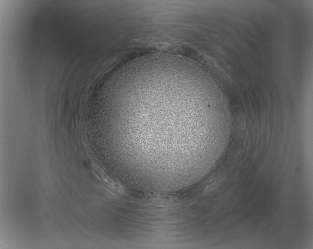 X0000082981105200702152350