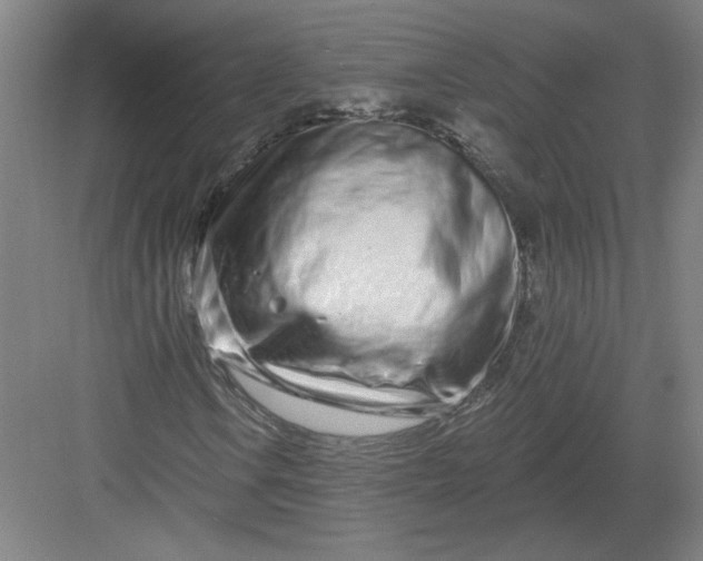 X0000082981106200702152350