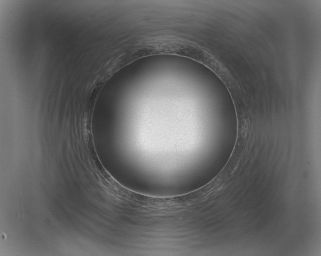 X0000082981108200702152350