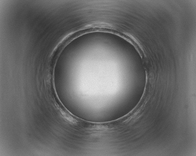 X0000082981115200702152350