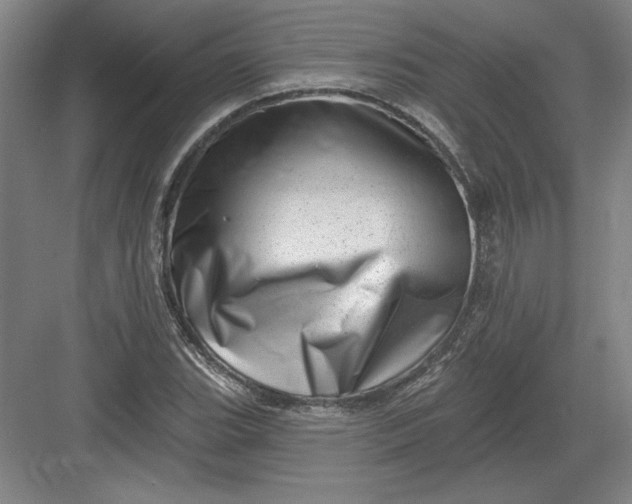 X0000082981119200702152350