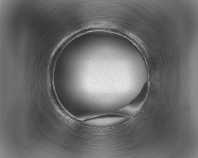 X0000082981120200702152350