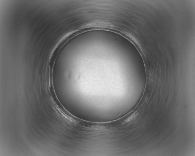 X0000082981123200702152350