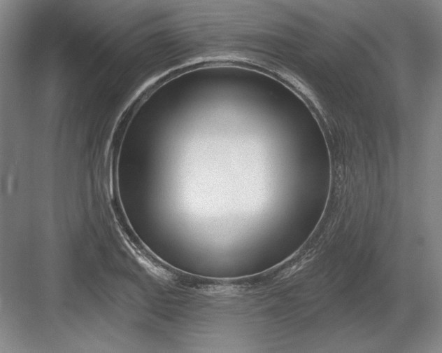 X0000082981127200702152350
