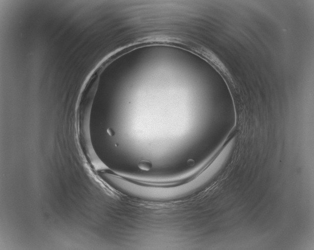 X0000082981132200702152351