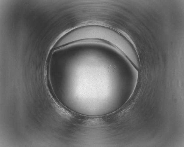 X0000082981133200702152351