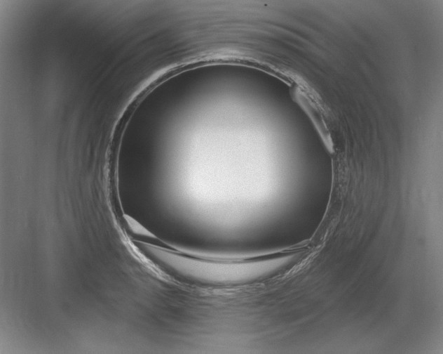 X0000082981134200702152351