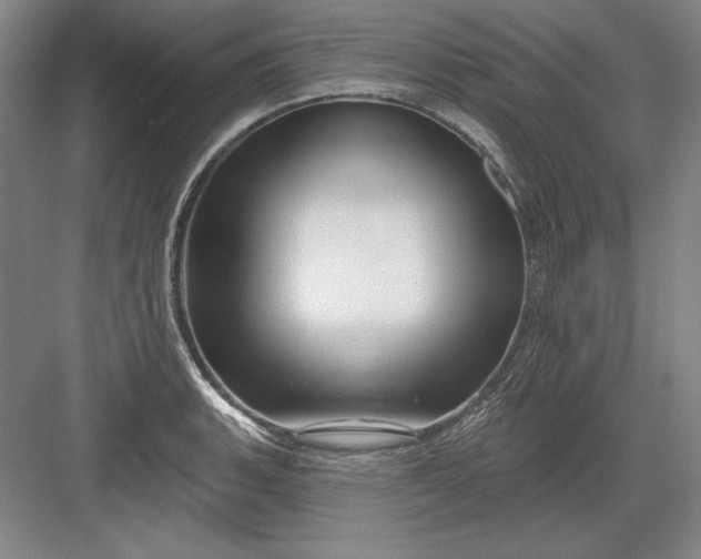 X0000082981135200702152351