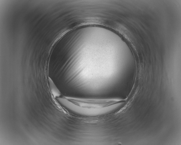 X0000082981137200702152351