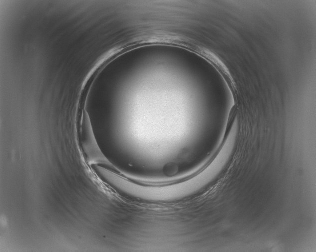 X0000082981138200702152351