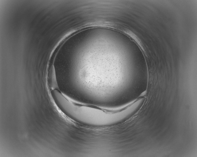 X0000082981139200702152351