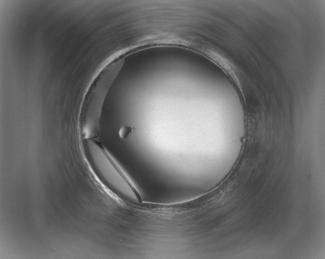 X0000082981141200702152351