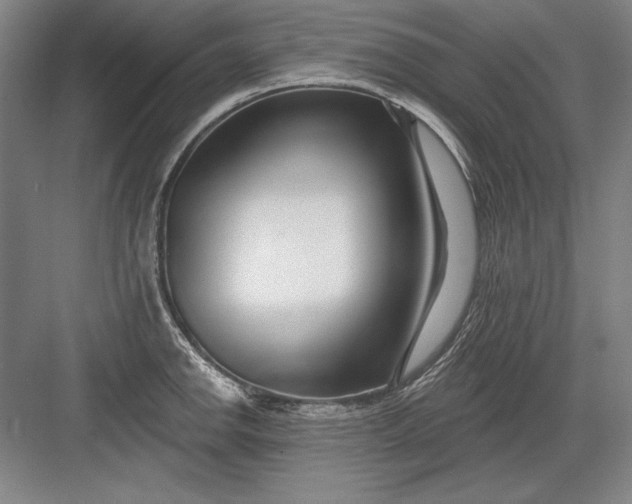 X0000082981142200702152351