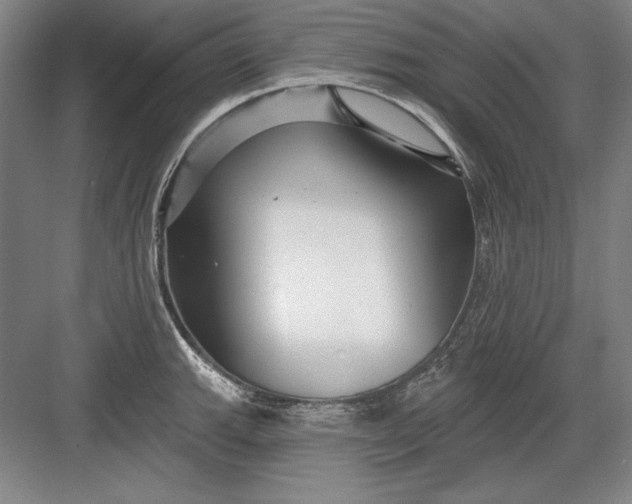 X0000082981143200702152351
