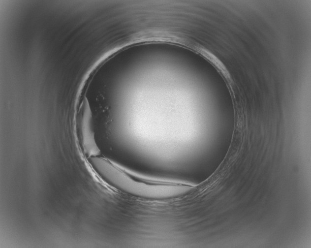 X0000082981144200702152351