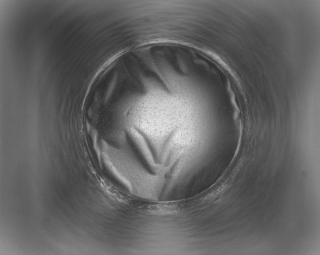 X0000082981145200702152351