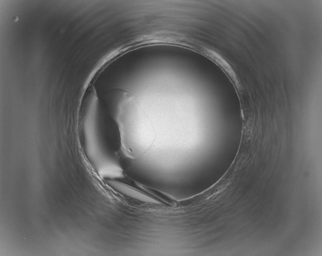 X0000082981146200702152351