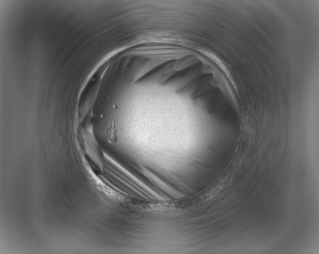 X0000082981147200702152351
