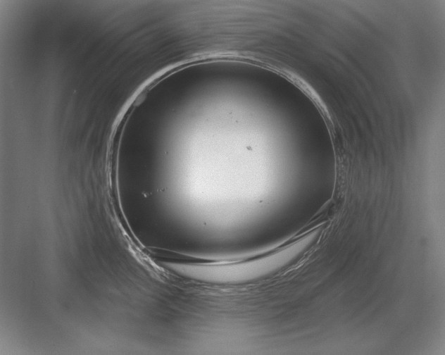 X0000082981148200702152351