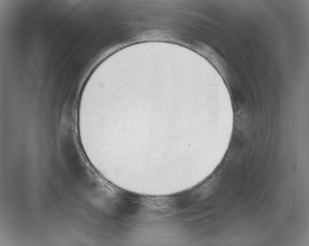 X0000082981150200702152351