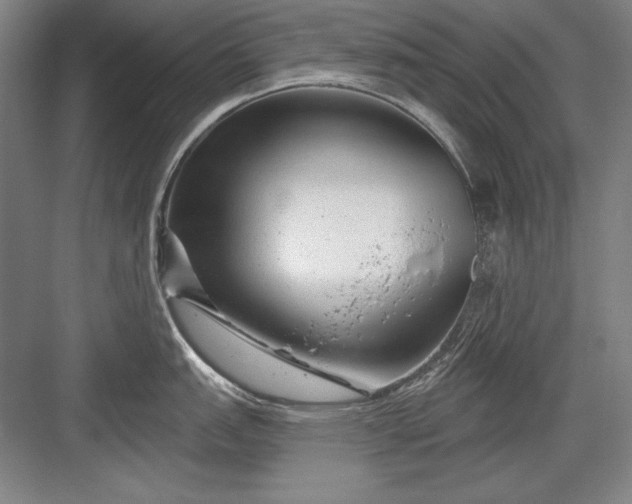 X0000082981151200702152351