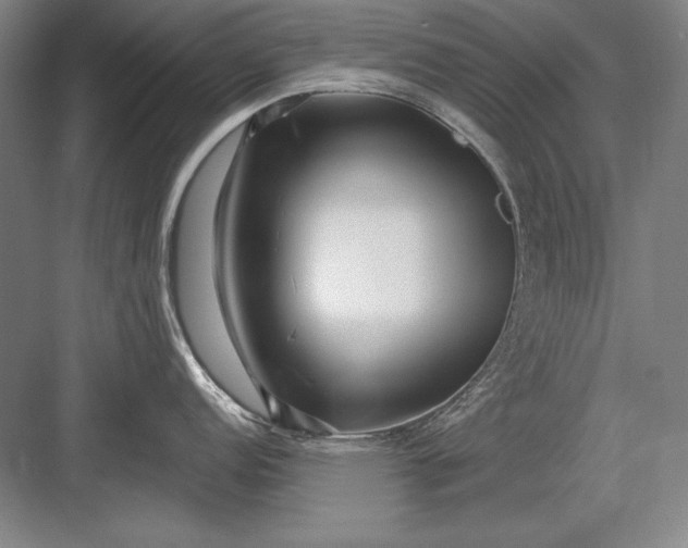 X0000082981152200702152351